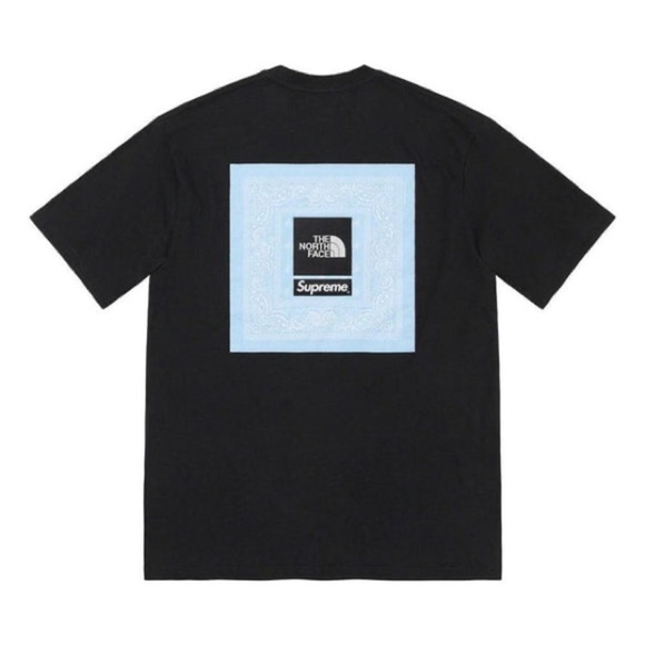Supreme Other - Supreme x The North Face Bandana Tee